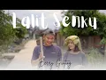 Download Lagu LALIT SENKU |BERRY GINTING|LAGU POP  KARO TERBARU 2025 | SONGWRITER | JOVA EIKE TARIGAN SILANGIT