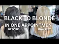Epic Black to Blonde Hair Transformation One-Day Color Correction Tutorial