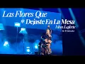 Las Flores Que Dejaste En La Mesa - Mon Laferte En El Salvador