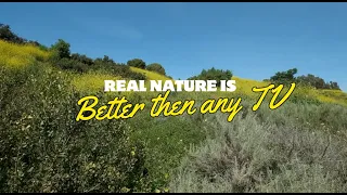 orange county california relaxation with a real nature newport beach area 