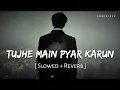 tujhe me pyar karu Slowed Reverb teri khushi na ho Shamil to fir khushi kya best song