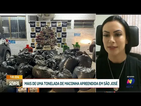 São José: polícia apreende mais de uma tonelada de maconha em operação