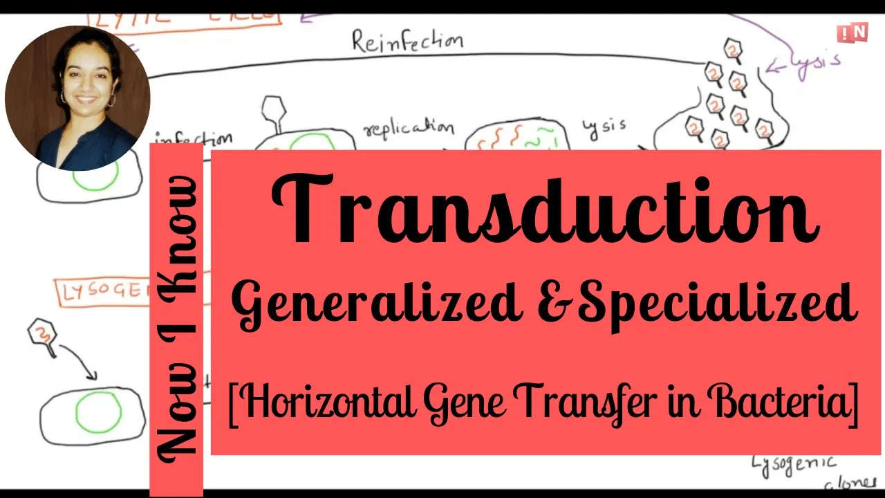 Bacterial Transduction [Generalized & Specialized] – Horizontal Gene Transfer Part – III