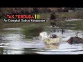 Download Lagu GILA !! SIAPA SANGKA CASTING IKAN GABUS KETIKA AIR DANGKAL IKAN PADA KELAPARAN #AS-233