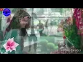 صلاح حسن - صار اهواي
