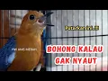 Download Lagu Suara Konslet Nraktak Ngeplong Naikin Birahi Anis Merah | HW ANIS MERAH 
