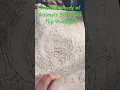 The Discovery of Animals 500 Dot-to-Dot book flip-through