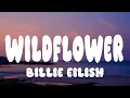 Download Lagu Billie Eilish - WILDFLOWER (Lyrics)