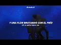 ■ Shigatsu wa Kimi no Uso Opening 1 | Hikaru Nara - Goose house | (Sub. Español - Romaji) ■