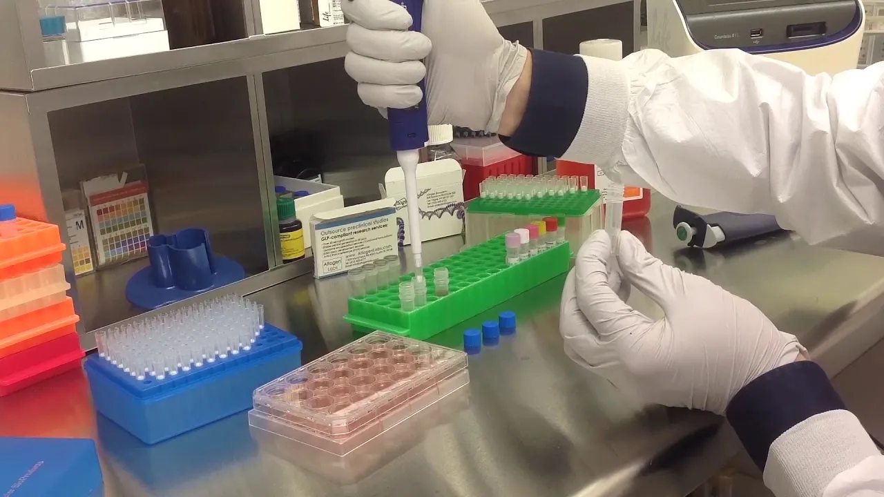 Altogen Biosystems In Vitro HepG2 Transfection Tutorial