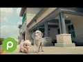 Friends can always agree on Publix