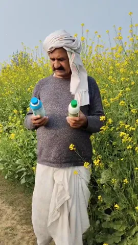 राजस्थान के करौली में रहने वाले किसान ने सरसों की अच्छी खेती का बताया राज | वनइंडिया हिंदी