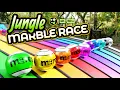 Lagu Big Marble Race: Marbles in the Jungle!  | #marbles #marblerace #animation #asmr #sensory #colorful