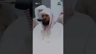 رب إني لما أنزلت إلي من خير فقير قران ماهر المعيقلي قرآن 