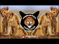 Download Lagu Is Jungle Mein Ham Do Sher || Bambaiya Style || Dj Ak Pune || Punekarwala Unreleased
