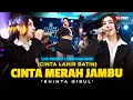 Download Lagu CINTA MERAH JAMBU (CINTA LAHIR BATIN) - Shinta Gisul (Live Dangdut Lembayung Music)