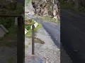 mountains falling live
