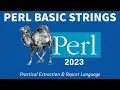 Perl Programming - Basic Strings 2023