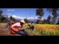 Download Lagu Timi Paari tyo gaau maa