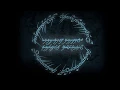 The Seduction of The Ring compilation