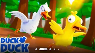 bebek bebek