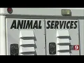 Lake County Animal Enforcement involved in costly lawsuit
