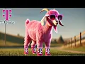T-Mobile Bad News Layoffs Happening