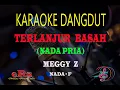 Download Lagu Karaoke Terlanjur Basah Nada Pria - Meggy Z (Karaoke Dangdut Tanpa Vocal)