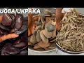 Download Lagu How FERMENTING UGBA/UKPAKA is being made (AFRICAN OIL BEAN SEED)