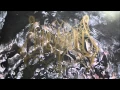 Download Lagu Unleashed - Shadows in The Deep