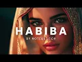Download Lagu Habiba - Oriental Reggaeton Dancehall Type Beat (Instrumental) Reggae Roots Turkish Dancehall