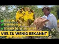 Download Lagu Tripmadam - heimisch, unkaputtbar und…