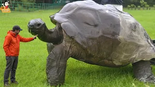 8 สิ่งมีชีวิตที่อายุยืนที่สุด..และยังอยู่มาถึงตอนนี้! (เป็นล้านปี!)