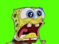 SpongeBob crying and screaming meme GREEN SCREEN