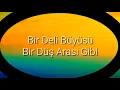 Atiye - Dalgana Bak 💞🙆💕_-_ (Lyrcs/Sözleri)