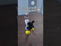 Download Lagu MICKEY’s REAL VOICE hits him HARD 💀 #roblox #funny