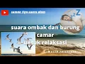 Download Lagu suara ombak dan burung camar untuk relaksasi | musik relaksasi