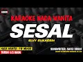 Download Lagu SESAL - Karaoke New Version ( ELVY SUKAESIH )