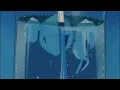whiskey in reverse - morgan wallen (slowed + reverbed)
