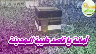أمانة يا قاصد طيبة المدينة سلم على المختار نبينا دندنها