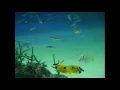 アンダー・ザ・シー 「リトル・マーメイド 」より　　近衛秀健日本語詞・ Alan Menken 作曲　 Under the Sea「The Little Mermaid」