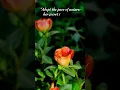 Download Lagu Ralph Waldo Emerson  - Adopt the pace of nature