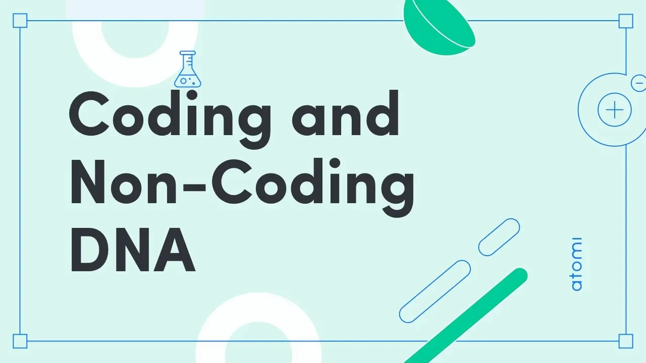 Y11-12 Biology: Coding and Non-Coding DNA