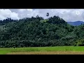 Download Lagu pantung Abang Hayam.  Kuyang ingina