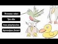 Dichotomous Key