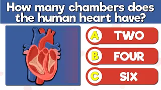 How Well Do You Know Your Heart 50 Circulatory System Questions