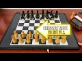 Stockfish 18 vs Lc0 on Chessnut Move with DGT Pi Chess Computer Gadgetify