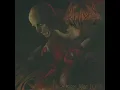 Cancer of the Soul