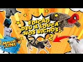 Download Lagu 🔴 NARRANDO A CENA | EDIÇÃO DEU A LOUCA NOS BICHOS  2 #humor  #tentenaorir  #resenhando