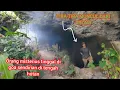 Download Lagu Tak masuk di akal‼️Bertahun-tahun bertahan Hidup di Dalam Goa Kisah Lelaki Misterius di tengah hutan